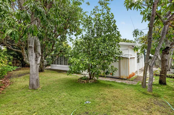 a view of a backyard with a tree