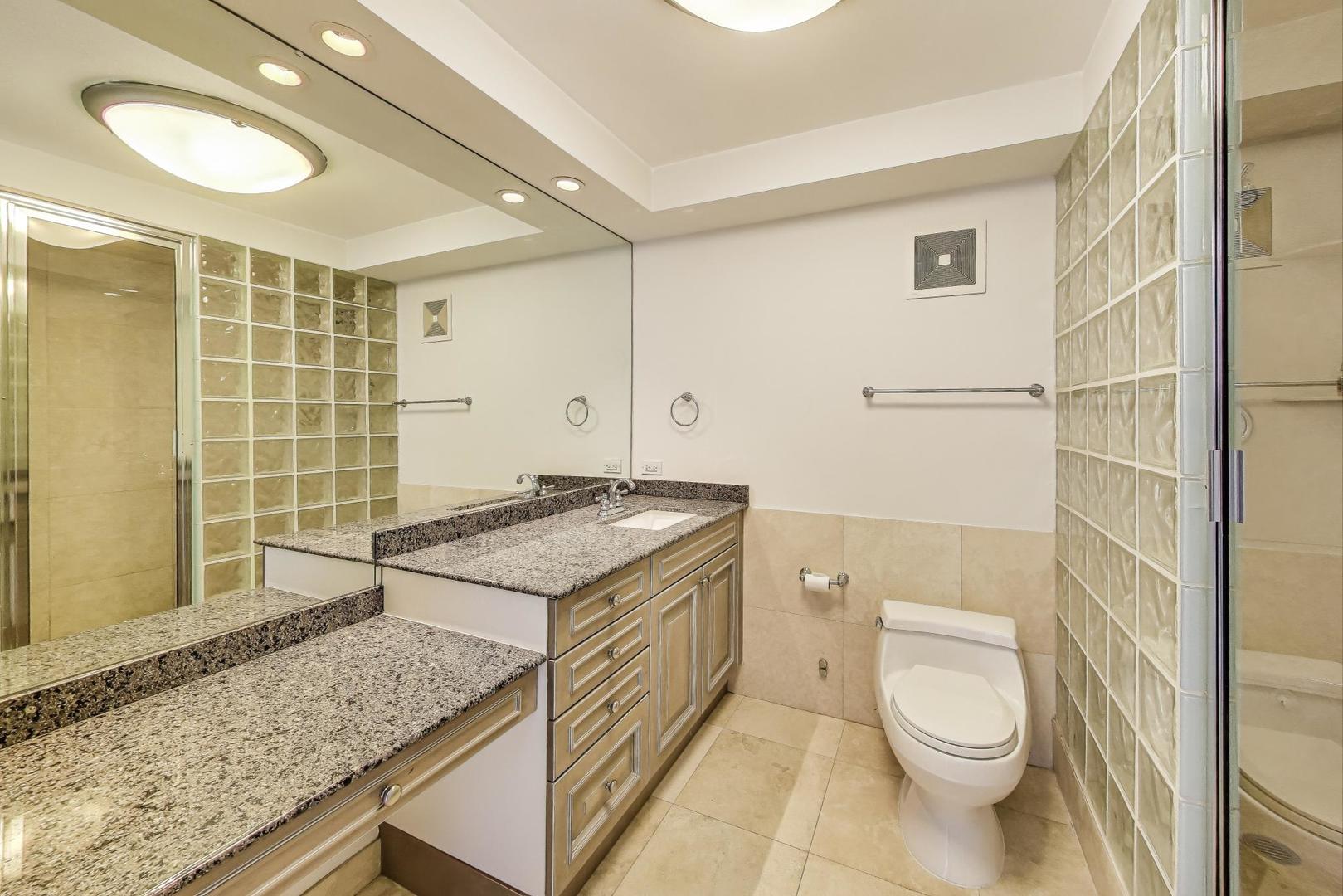 111 East Chestnut Street, Unit 48J Chicago, IL 60611 - Photo 17 of 28