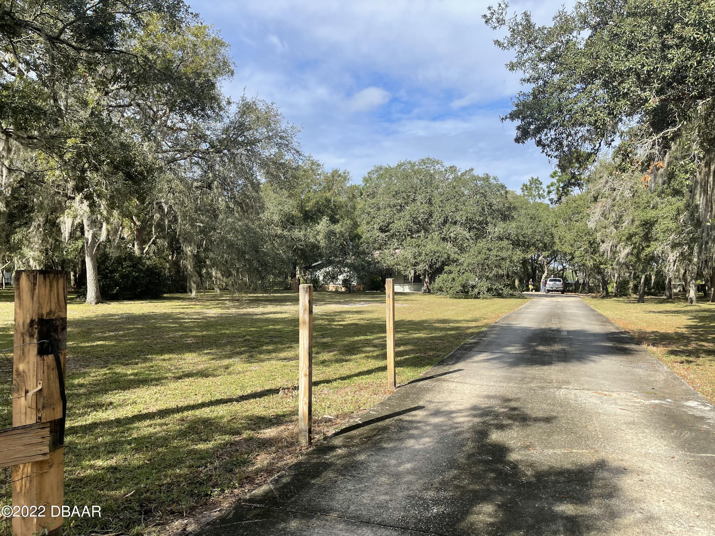 4486 Daugharty Road DeLand, FL 32724 - Photo 4 of 23 a view of a yard with large trees