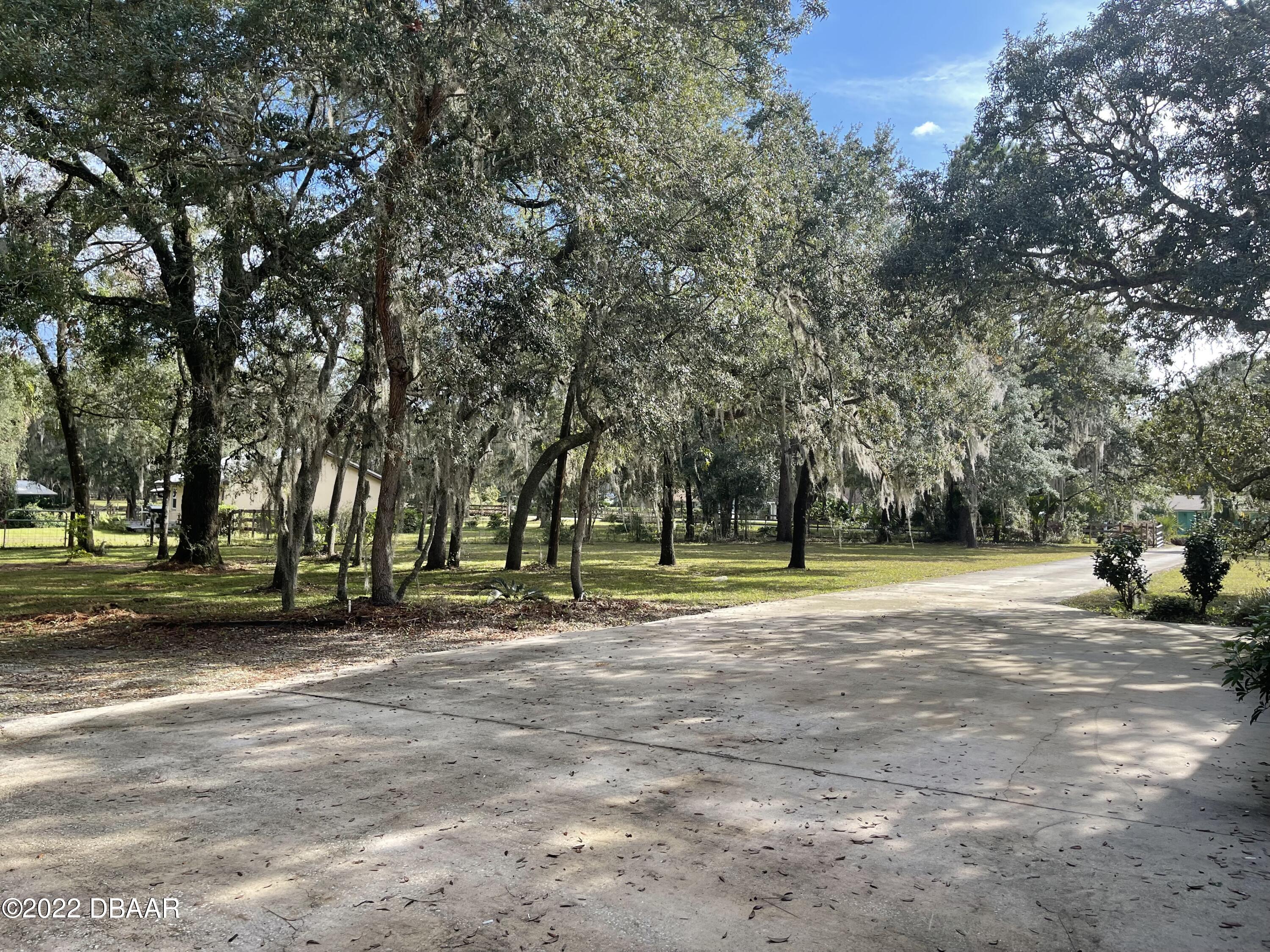 4486 Daugharty Road DeLand, FL 32724 - Photo 7 of 23 a view of a park with large trees