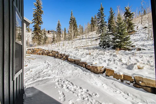 a view of a yard covered in snow