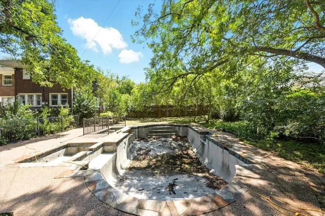 a view of a yard with plants and trees