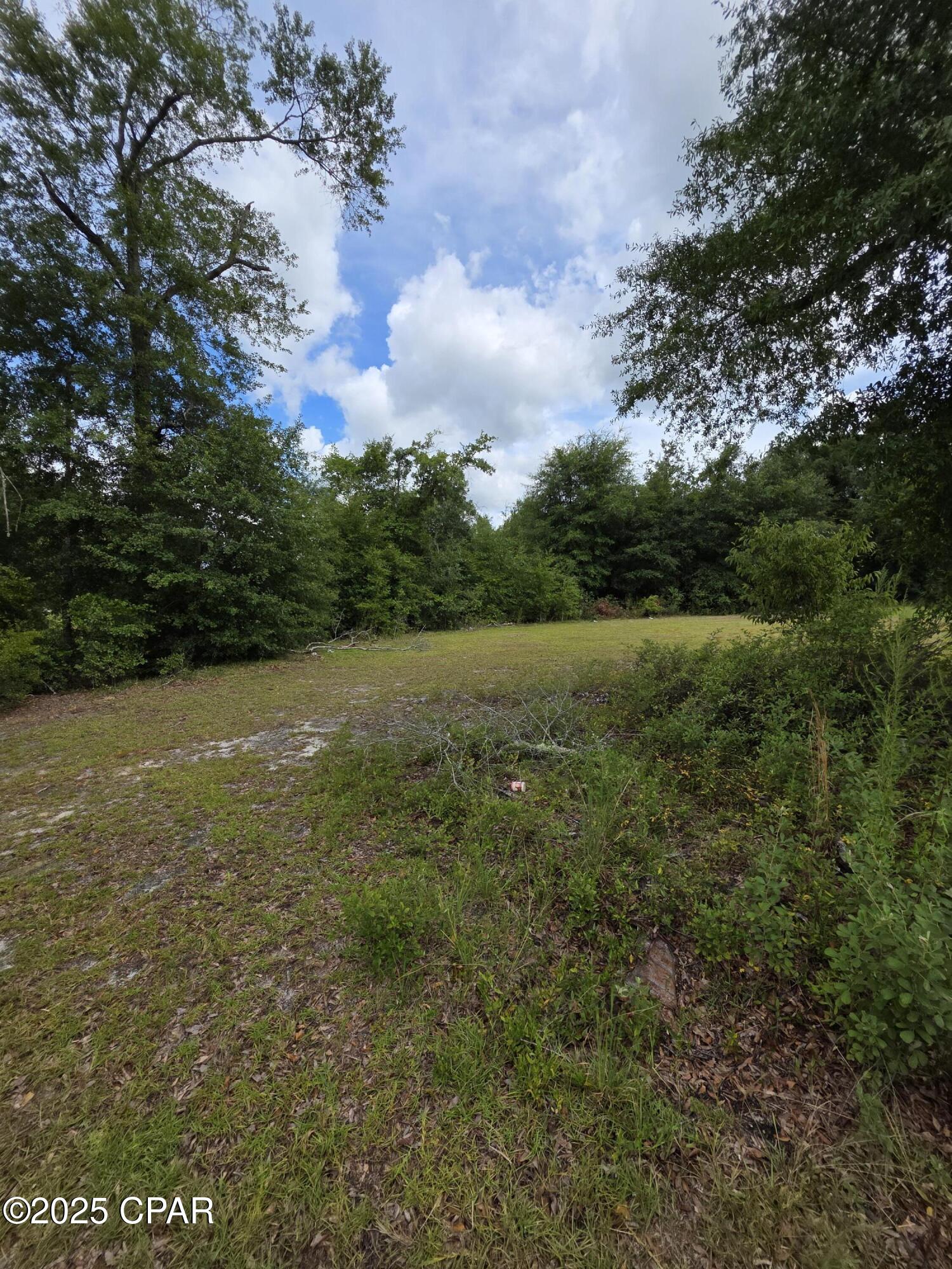 6285 Hartsfield Road Greenwood, FL 32443 - Photo 12 of 14