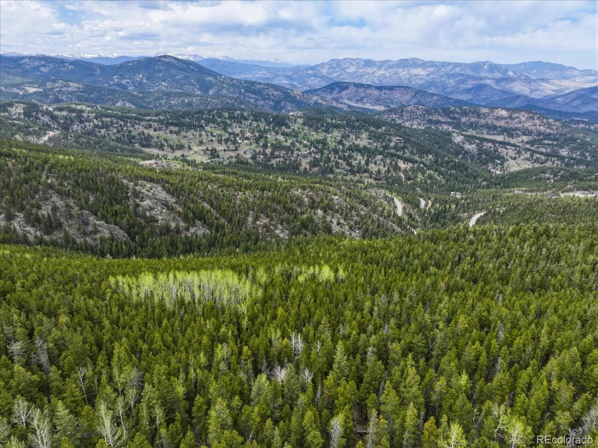 0 Sinton Road Evergreen, CO 80439 - Photo 8 of 20