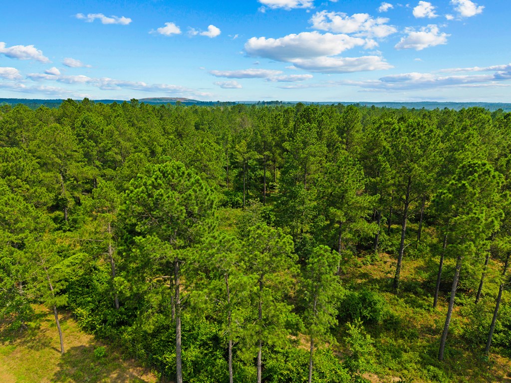 12-ac Liberty Road Mauk, GA 31058 - Photo 22 of 32