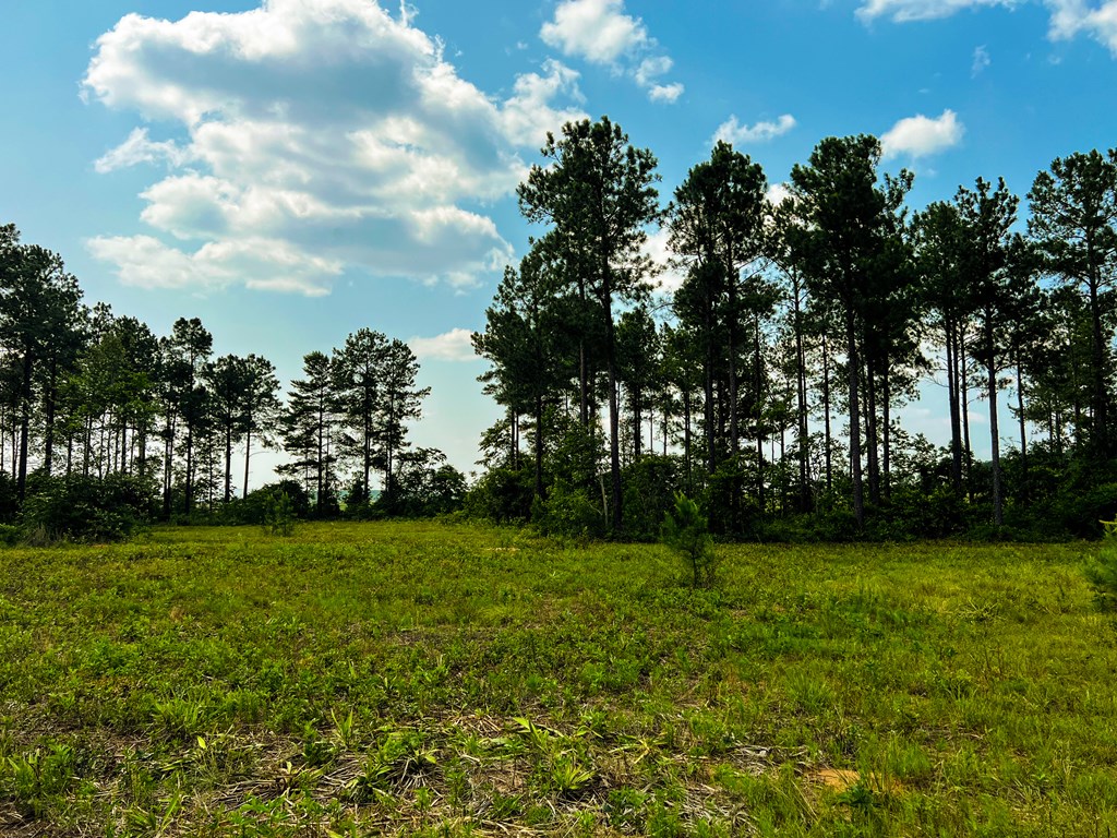 12-ac Liberty Road Mauk, GA 31058 - Photo 26 of 32