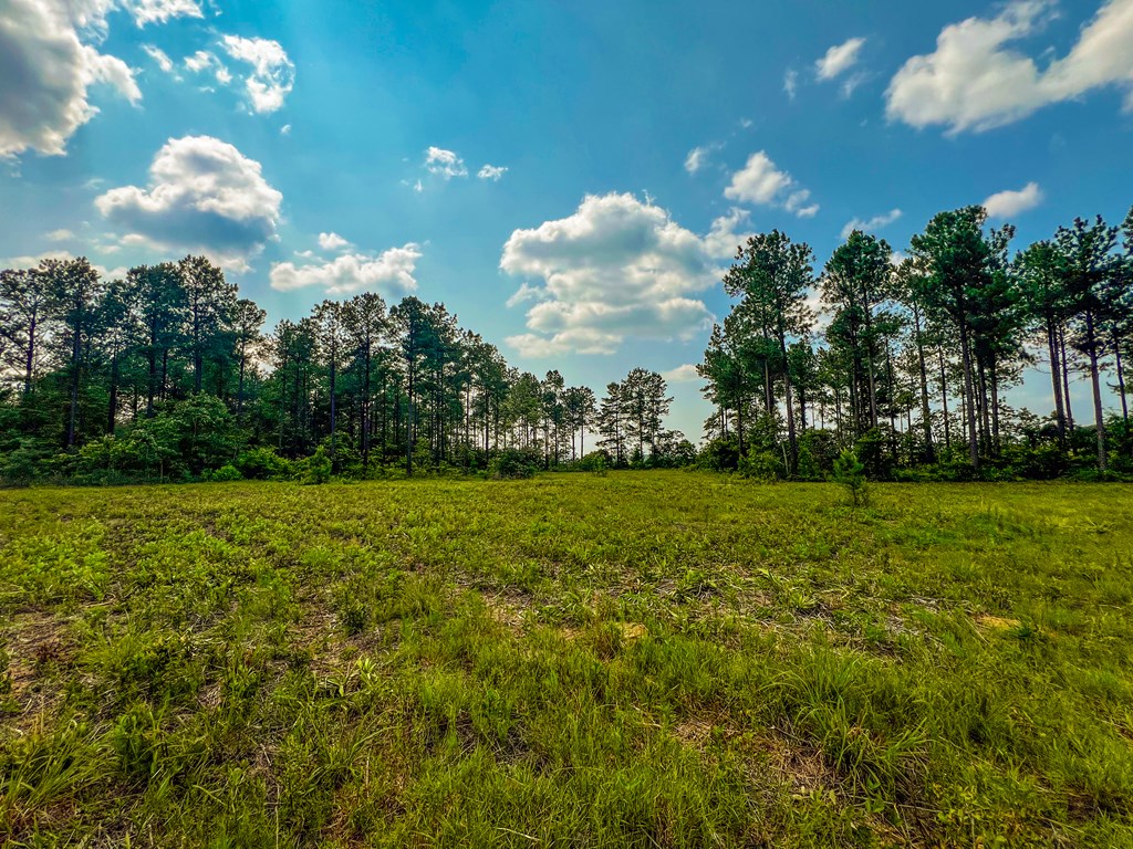 12-ac Liberty Road Mauk, GA 31058 - Photo 27 of 32