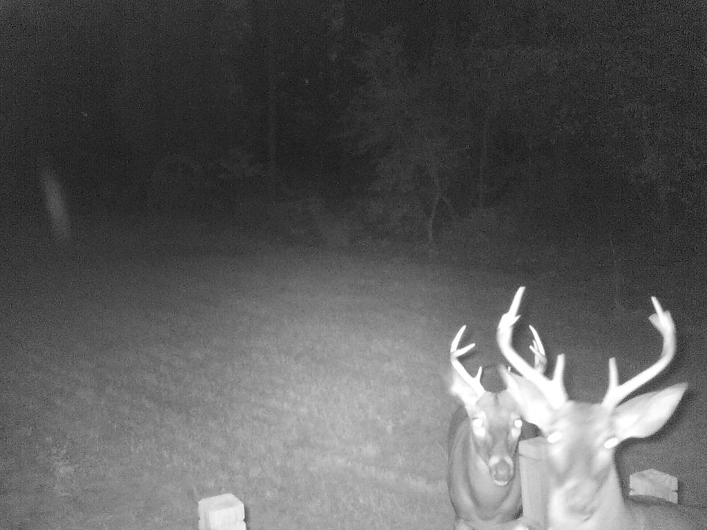 12-ac Liberty Road Mauk, GA 31058 - Photo 28 of 32