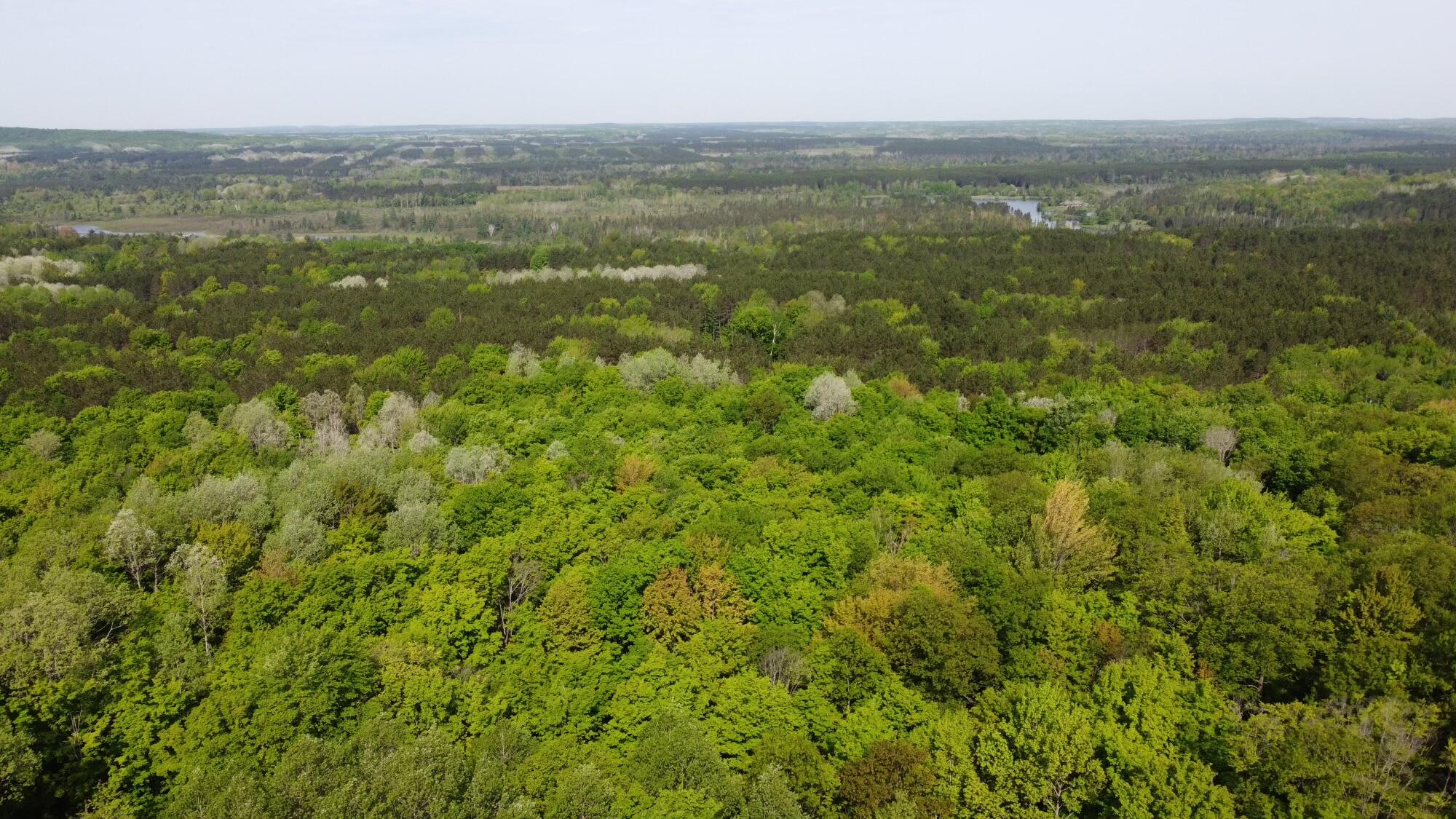9841 Hunters Ridge Road Gaylord, MI 49735 - Photo 38 of 41 Gallery Image 38