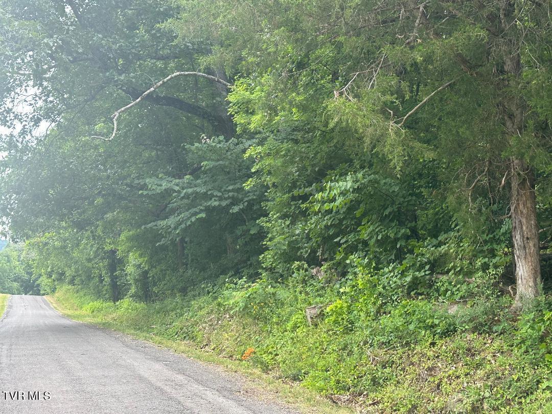 Tbd Flora Road Rogersville, TN 37857 - Photo 37 of 54 kk44