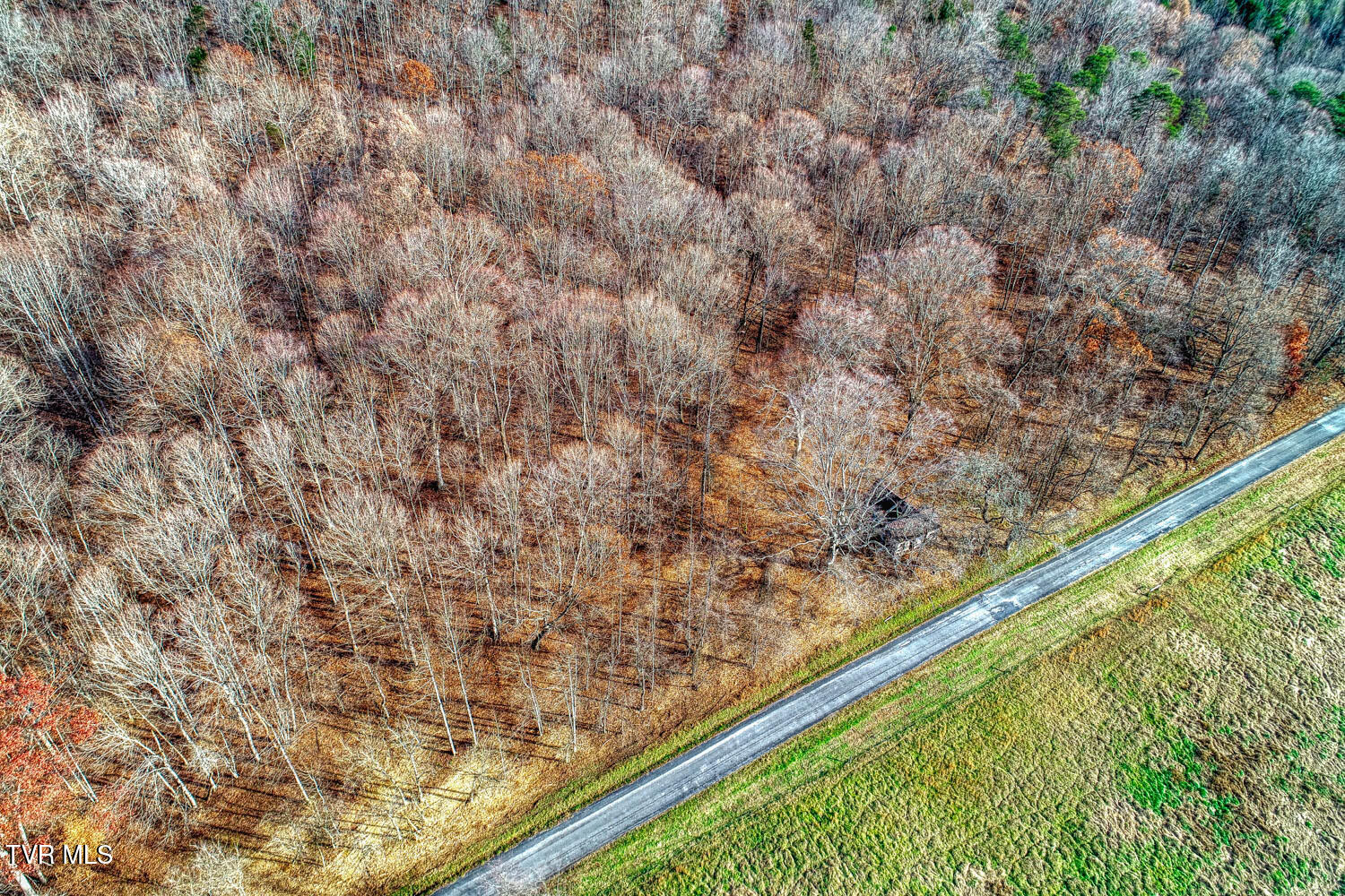 Tbd Flora Road Rogersville, TN 37857 - Photo 54 of 54 Chestnut. Rog MLSb (24 of 24)