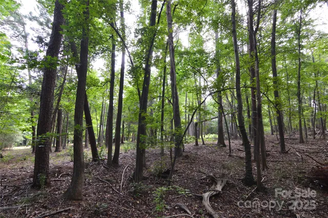 a view of outdoor space and green space