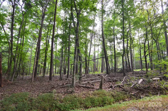a view of outdoor space with lots of trees