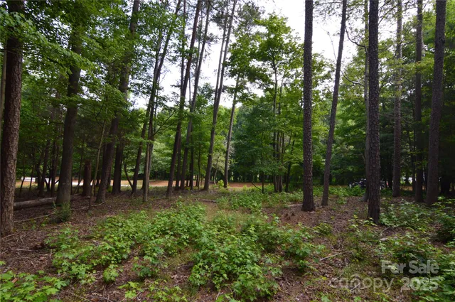 a view of outdoor space with lots of trees