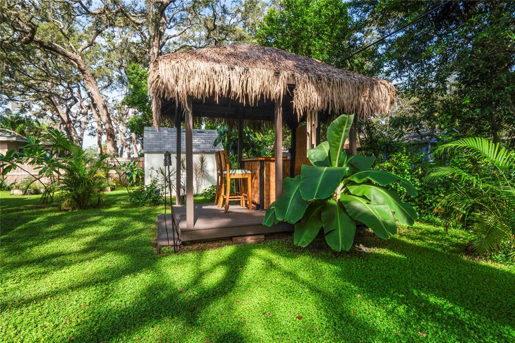 1282 Palm Street Clearwater, FL 33755 - Photo 37 of 55 a view of a small yard in front of a house with a fountain plants and large trees