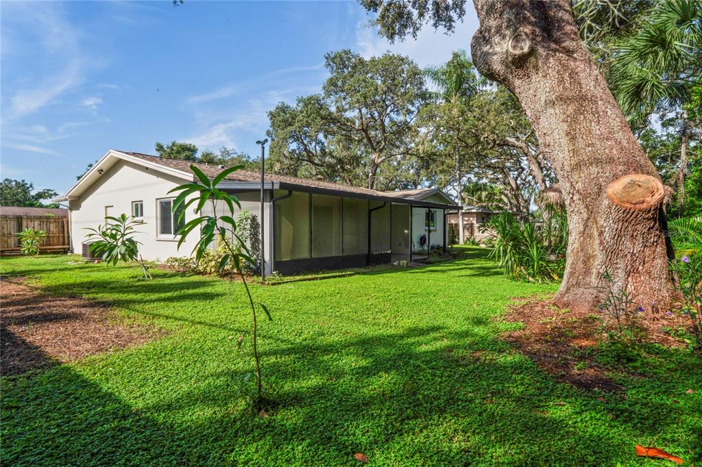1282 Palm Street Clearwater, FL 33755 - Photo 39 of 55 a view of a house with a yard and a large tree