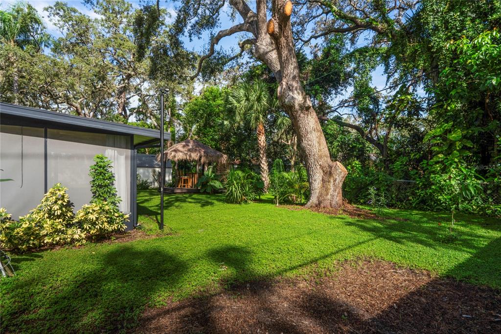 1282 Palm Street Clearwater, FL 33755 - Photo 41 of 55 a view of a house with a backyard