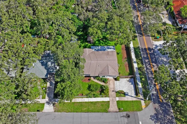 a view of a house with a yard plants and large tree