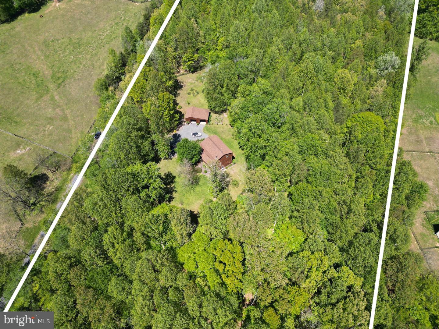10418 Cliff Mills Road Marshall, VA 20115 - Photo 3 of 55 Secluded retreat amidst lush greenery.