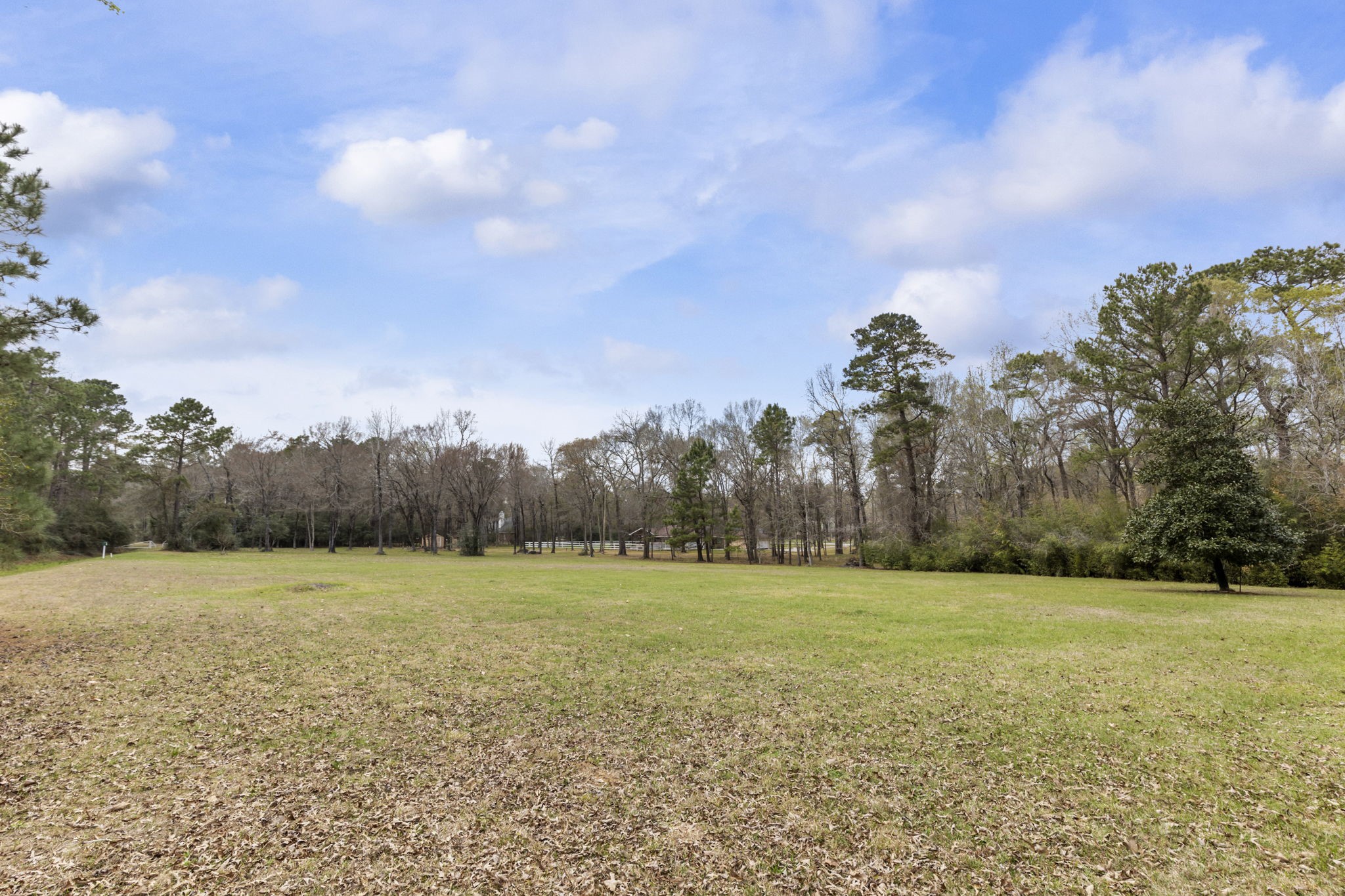 39327 Lago Drive Magnolia, TX 77354 - Photo 35 of 39 Picture this: endless possibilities unfolding across expansive outdoor space and acres of sprawling land. Whether you dream of crafting a serene private retreat, cultivating lush gardens, or creating the ultimate entertainment haven, this blank canvas is ready to bring your vision to life.