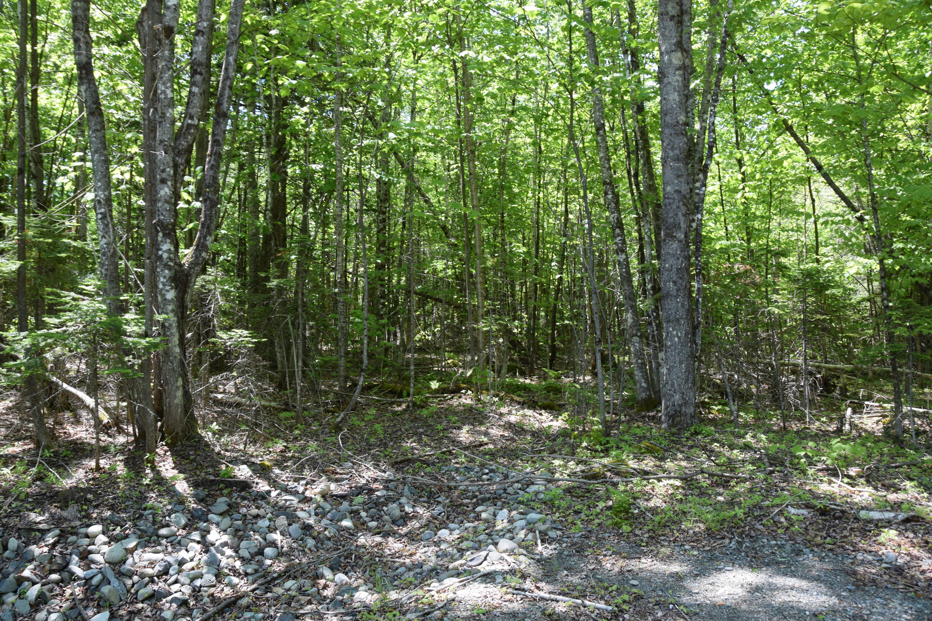 M7-l1-4 Pine Bluff Road Embden, ME 04958 - Photo 10 of 21 DSC_0012