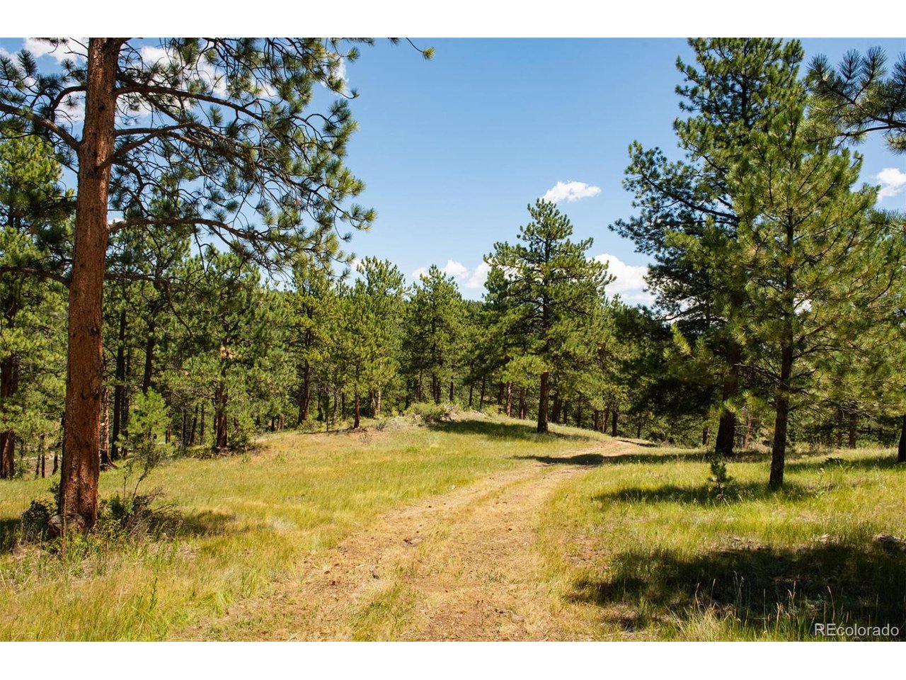 3 Legacy Ranch Evergreen, CO 80439 - Photo 15 of 17
