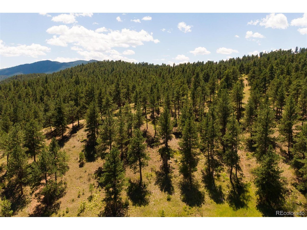 3 Legacy Ranch Evergreen, CO 80439 - Photo 4 of 17