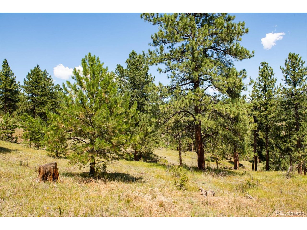 3 Legacy Ranch Evergreen, CO 80439 - Photo 7 of 17