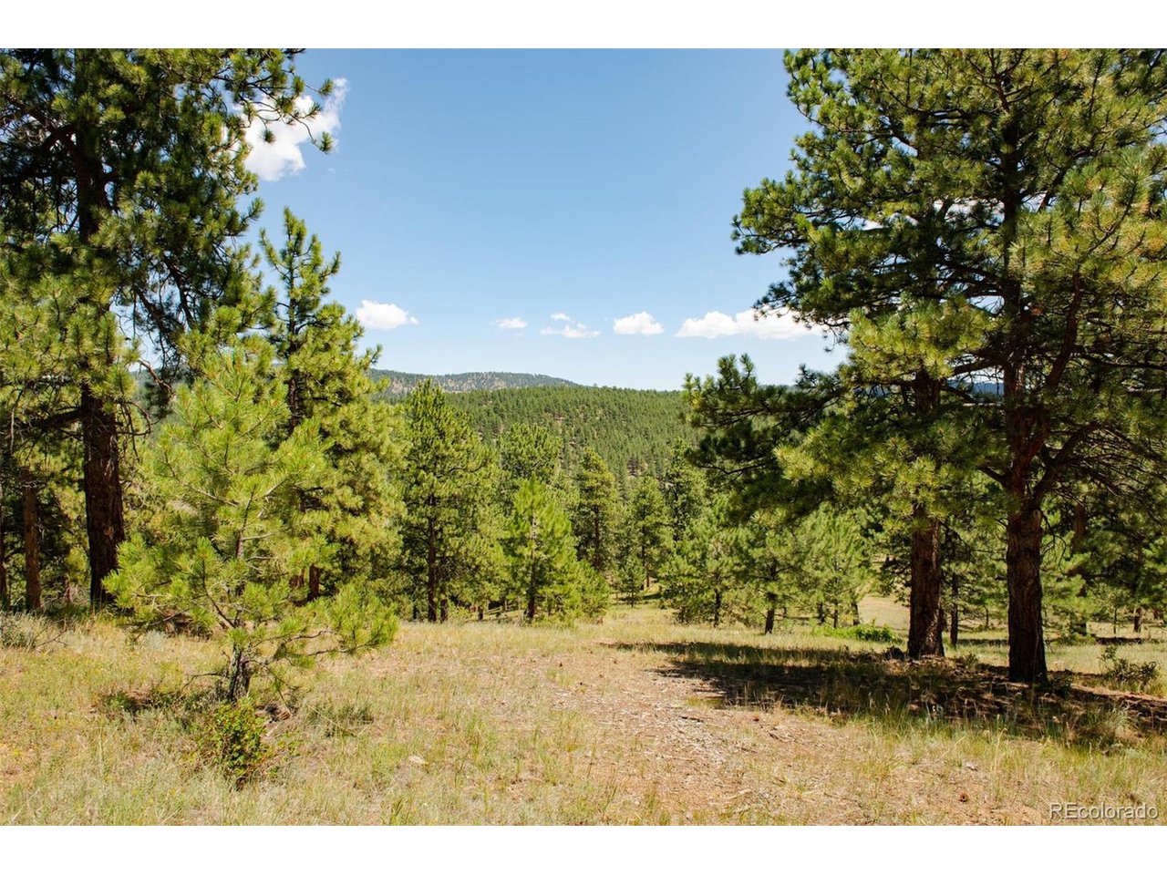 3 Legacy Ranch Evergreen, CO 80439 - Photo 8 of 17