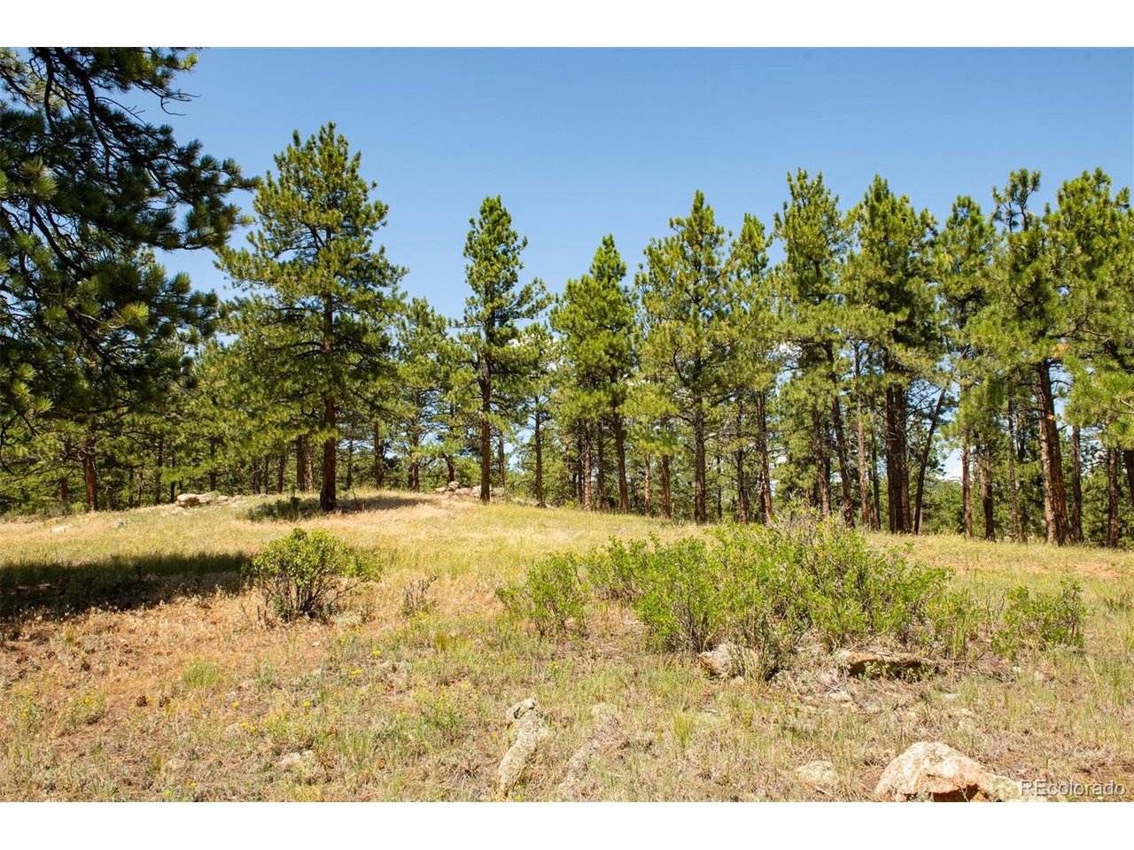 3 Legacy Ranch Evergreen, CO 80439 - Photo 10 of 17