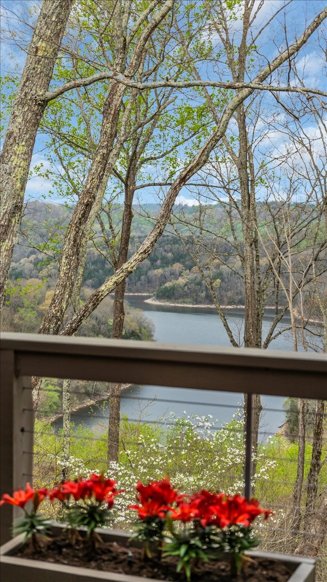 8581 Silver View Lane Silver Point, TN 38582 - Photo 43 of 74