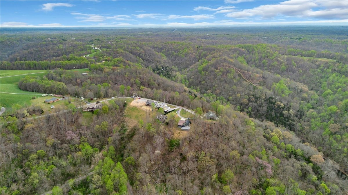 8581 Silver View Lane Silver Point, TN 38582 - Photo 68 of 74