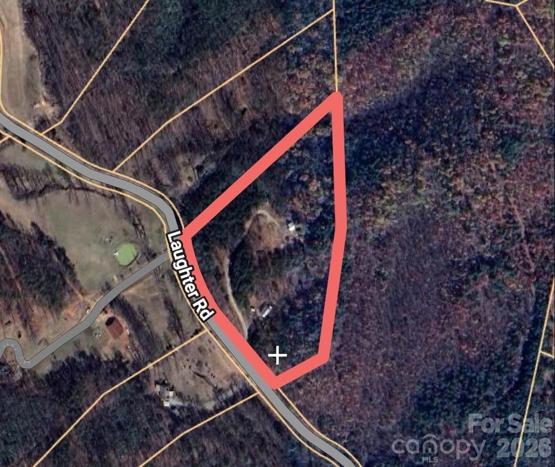 1318 Laughter Road Mill Spring, NC 28756 - Photo 8 of 17