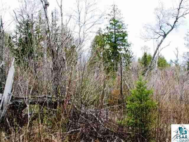 Xx Brumbaugh Road Grand Marais, MN 55604 - Photo 6 of 12