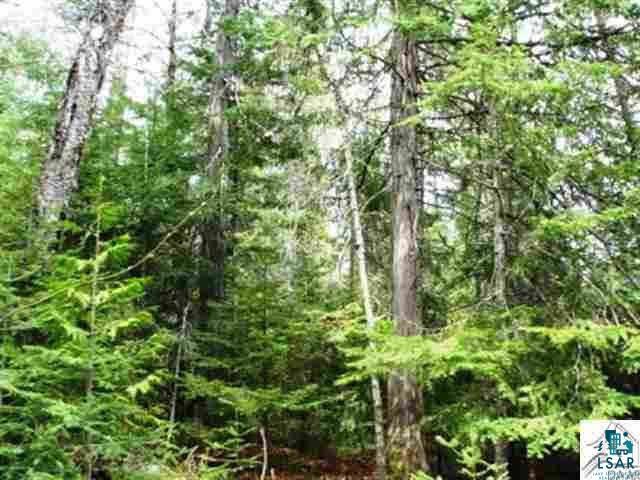 Xx Brumbaugh Road Grand Marais, MN 55604 - Photo 8 of 12