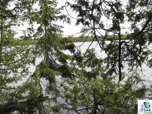 Xx Brumbaugh Road Grand Marais, MN 55604 - Photo 10 of 12