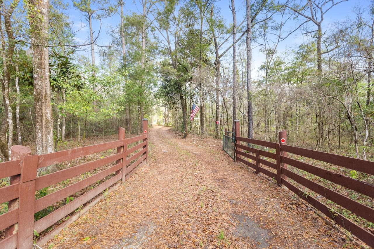 233 Attatulga Road Lamont, FL 32336 - Photo 33 of 33 Gallery Image 33