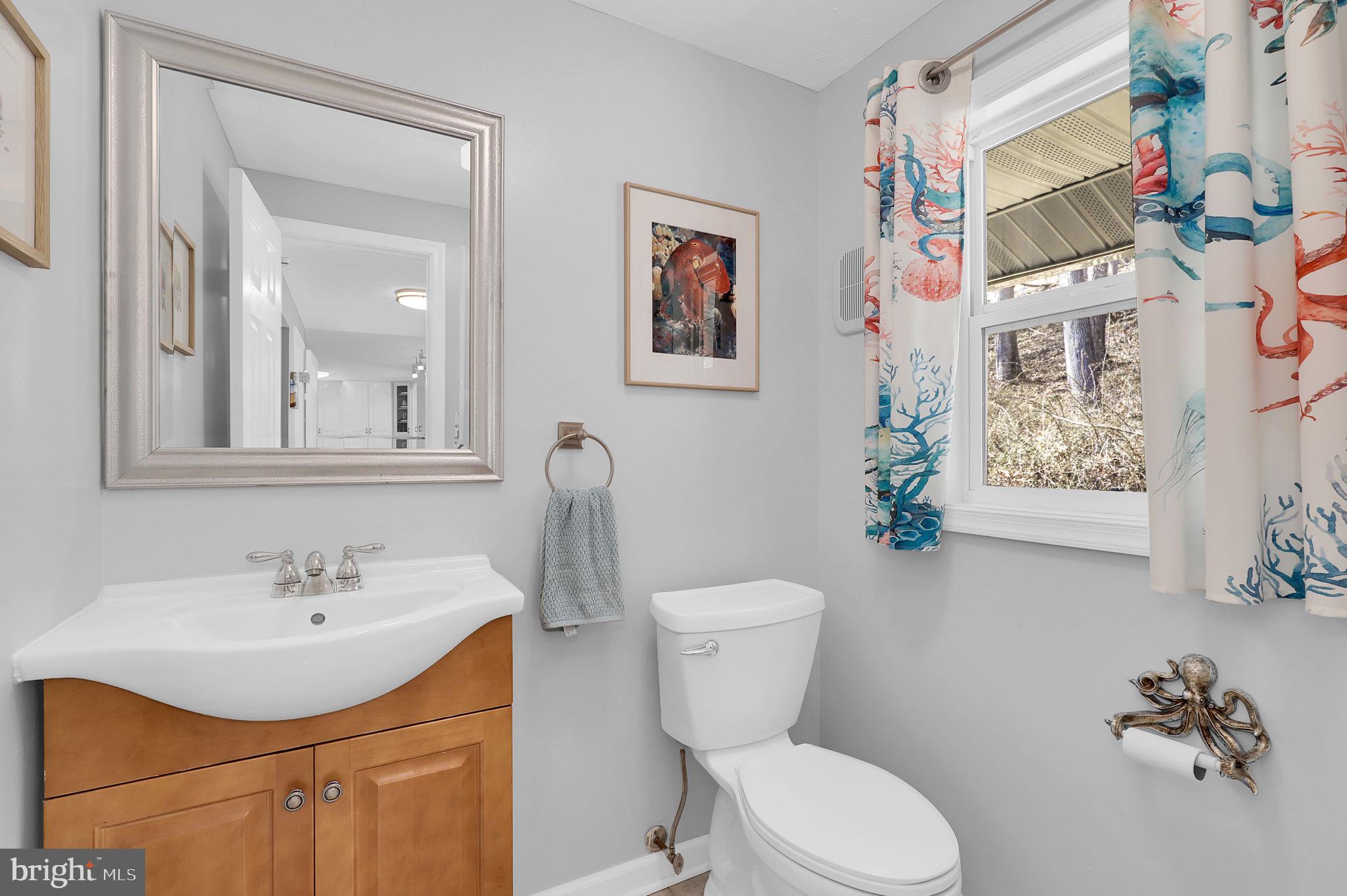 14336 Shirley Bohn Road Mount Airy, MD 21771 - Photo 14 of 56 a bathroom with a sink mirror vanity and toilet