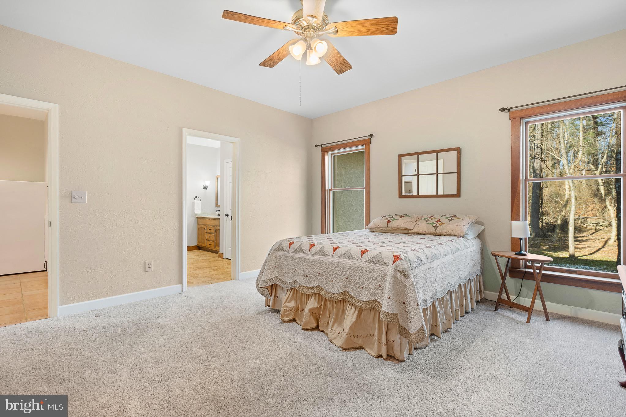 12834 Jesse Smith Road Mount Airy, MD 21771 - Photo 26 of 66 1st Floor Primary Bedroom