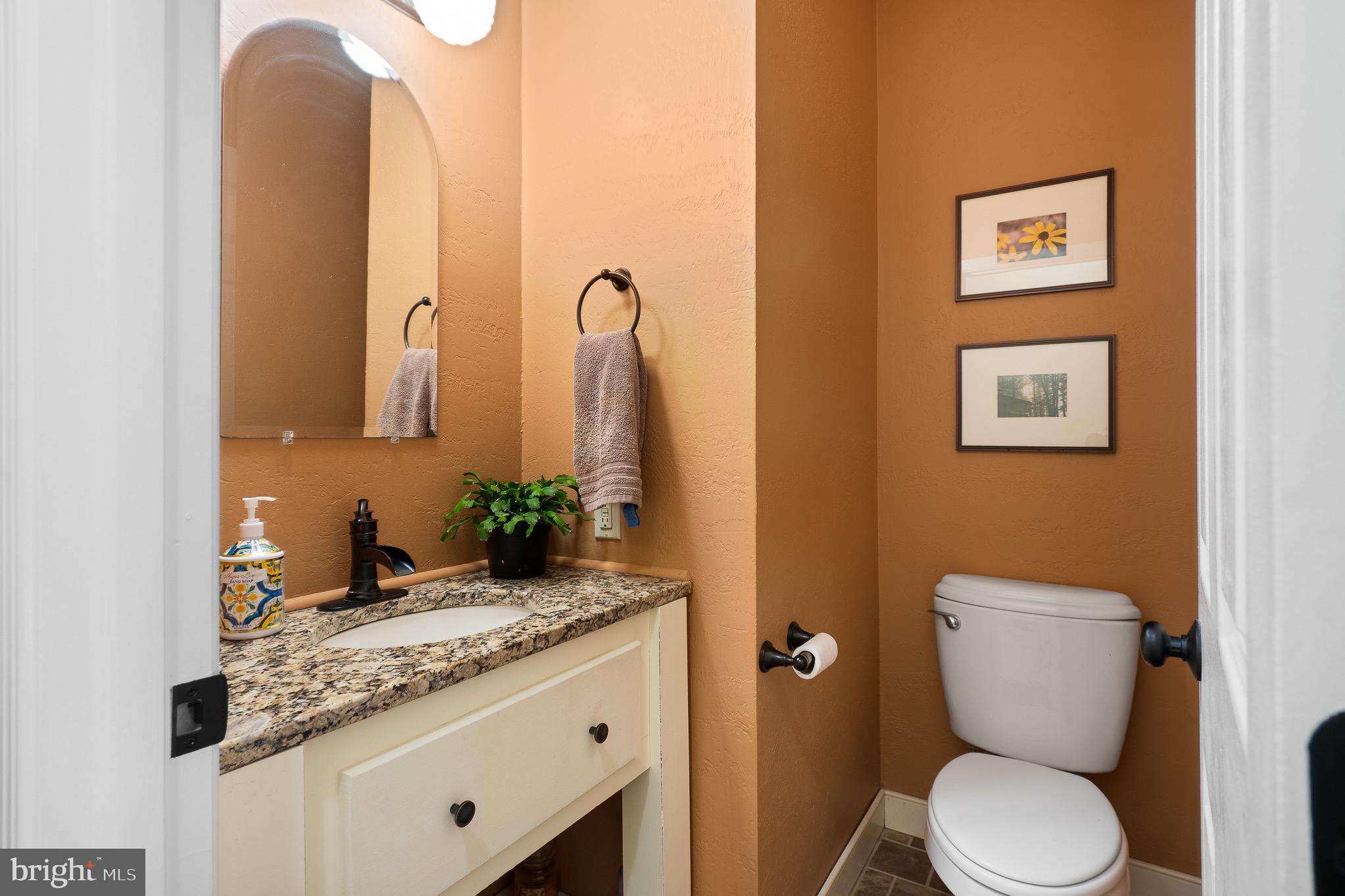 12834 Jesse Smith Road Mount Airy, MD 21771 - Photo 33 of 66 1st Floor Powder Room