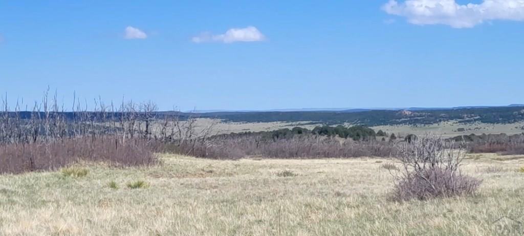 17 A Majors Ranch Road Walsenburg, CO 81089 - Photo 11 of 17