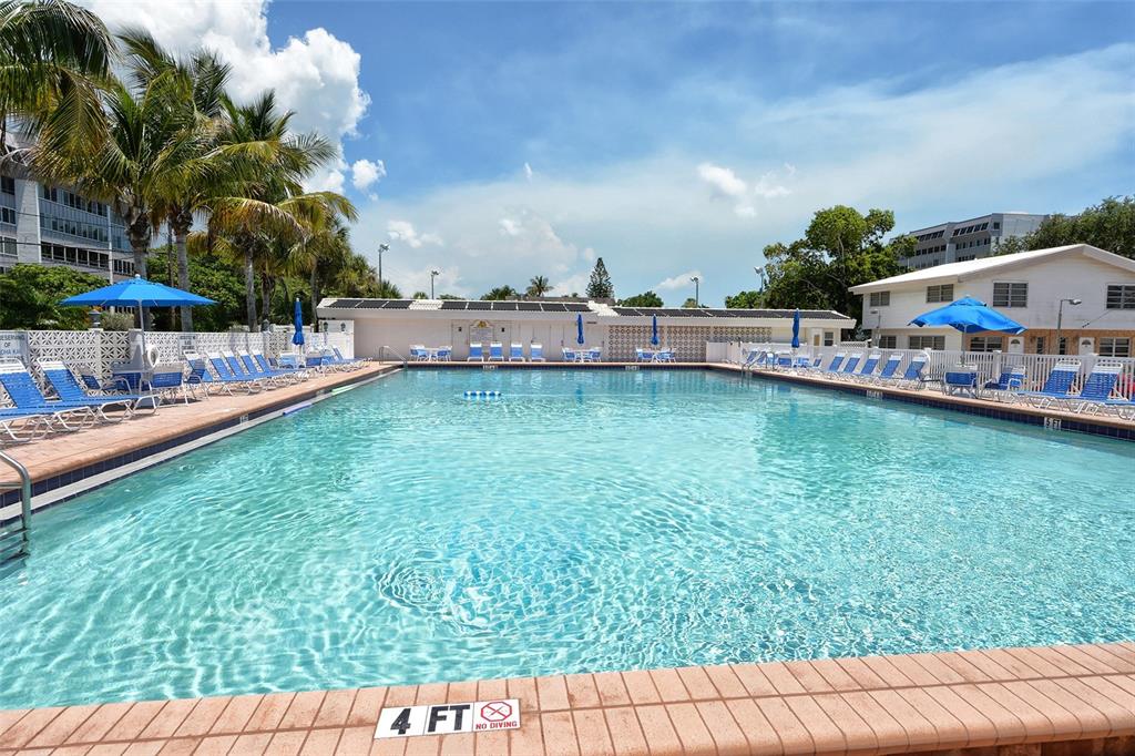 6020 Midnight Pass Road, Unit 63 Sarasota, FL 34242 - Photo 26 of 52 a view of a swimming pool with lawn chairs and plants