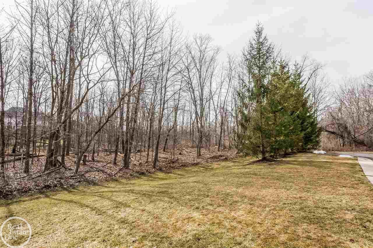 3635 Tremonte Circle Rochester, MI 48306 - Photo 34 of 38 31281583-33.JPG