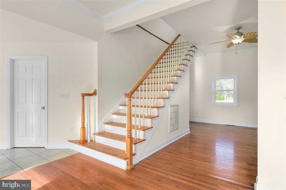 10649 Assateague Road Berlin, MD 21811 - Photo 15 of 39 Gallery Image 15