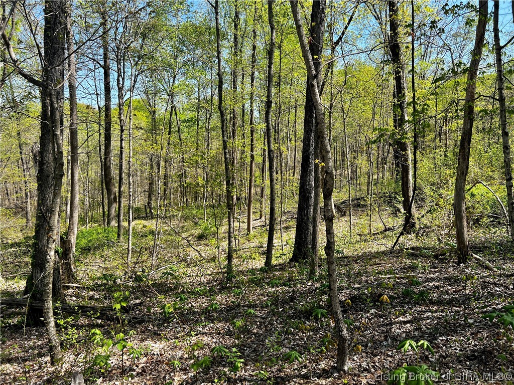 Oliver Road Branchville, IN 47514 - Photo 15 of 20