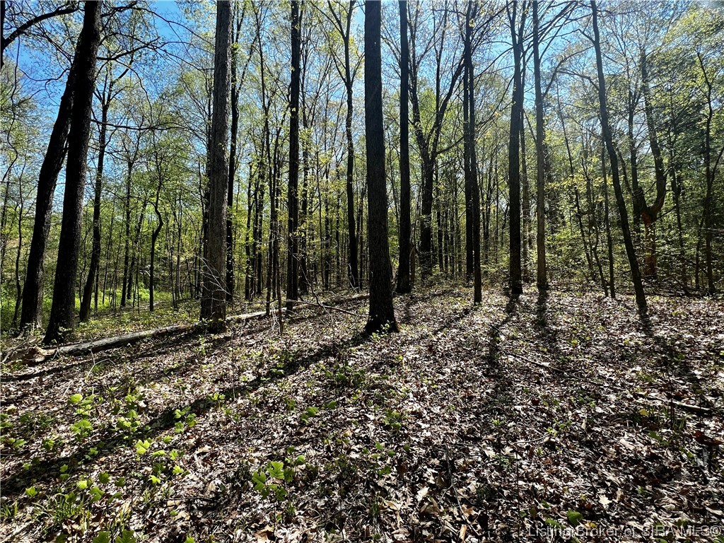 Oliver Road Branchville, IN 47514 - Photo 18 of 20