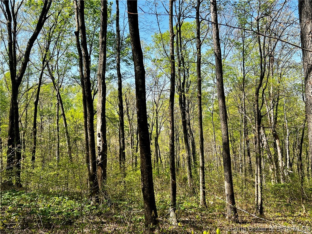 Oliver Road Branchville, IN 47514 - Photo 20 of 20