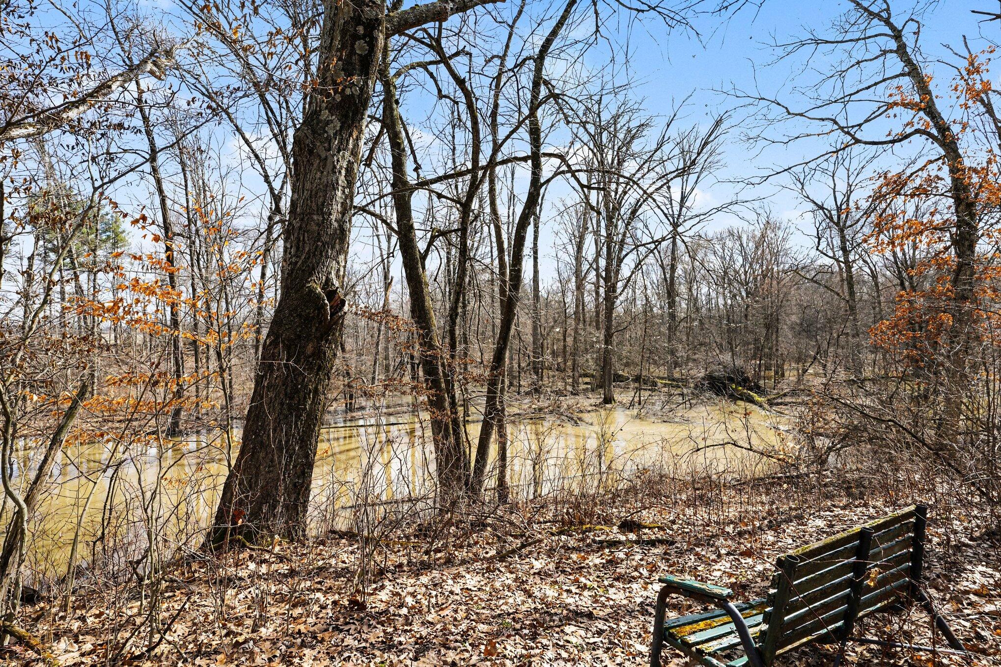 8392 Huff Road Battle Creek, MI 49017 - Photo 23 of 23 creek view