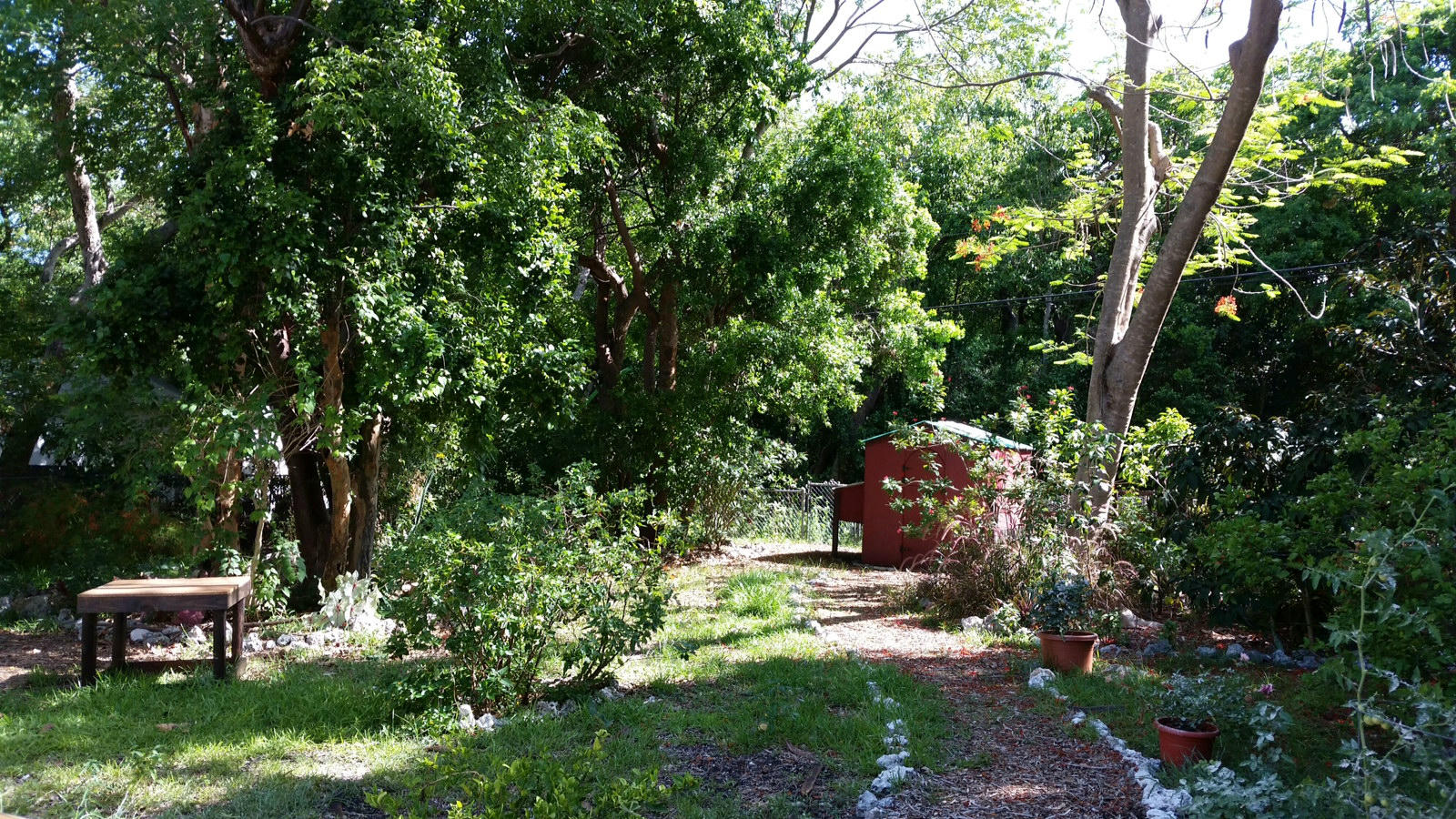 16 Park Road Islamorada, FL 33036 - Photo 7 of 7 backyard