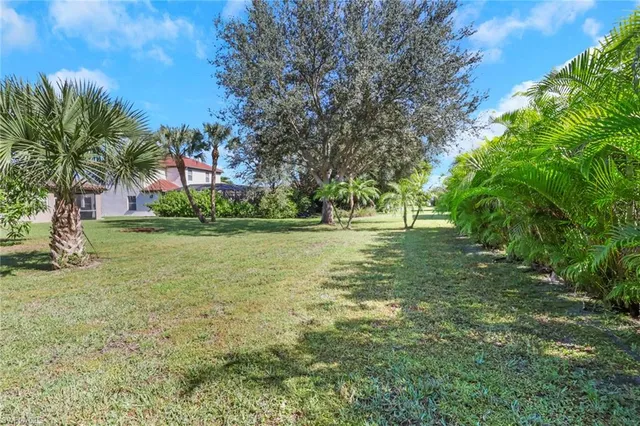 a view of outdoor space with trees all around